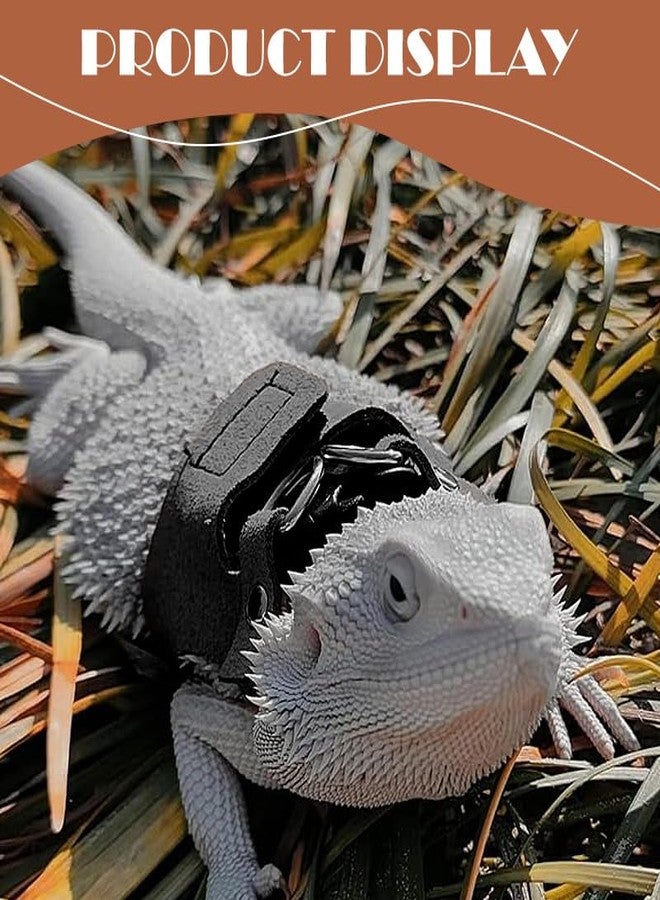 hokable Bearded Dragon Leash - 3 Sizes Pack Reptile Outing Adjustable Soft Leather Lizard Harness with Retractable Leash Small Animal Traction Rope Walking Vest Accessories for Bearded Dragon Leash（Black） - Image 5